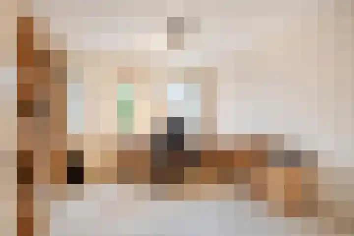 Andoorn 76 Oldenzaal thumbnail 25