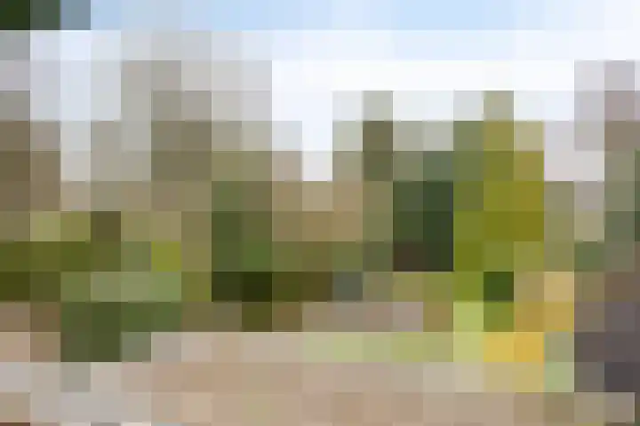 Andoorn 76 Oldenzaal thumbnail 27