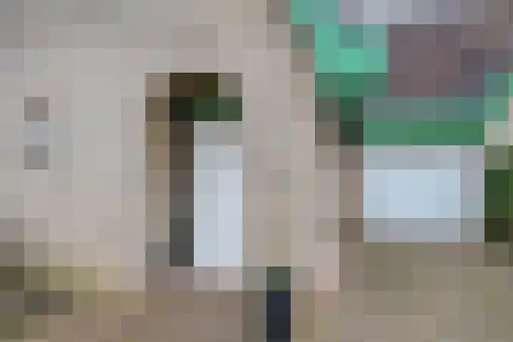 Andoorn 76 Oldenzaal thumbnail 32