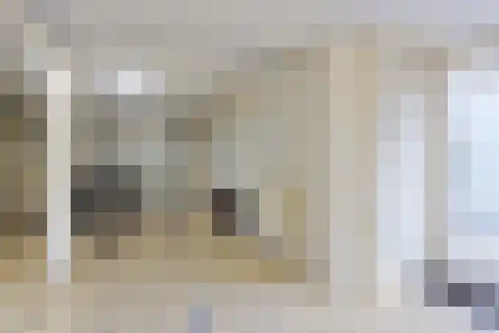 Andoorn 76 Oldenzaal thumbnail 33