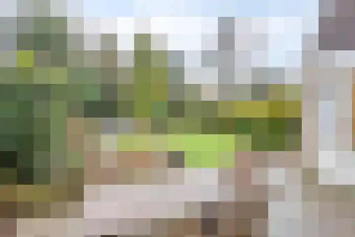 Andoorn 76 Oldenzaal thumbnail 35