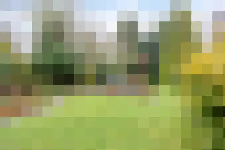 Andoorn 76 Oldenzaal thumbnail 36