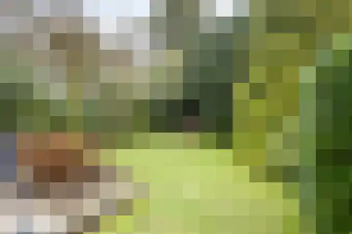 Andoorn 76 Oldenzaal thumbnail 37