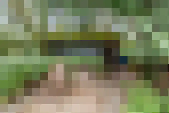 Andoorn 76 Oldenzaal thumbnail 38