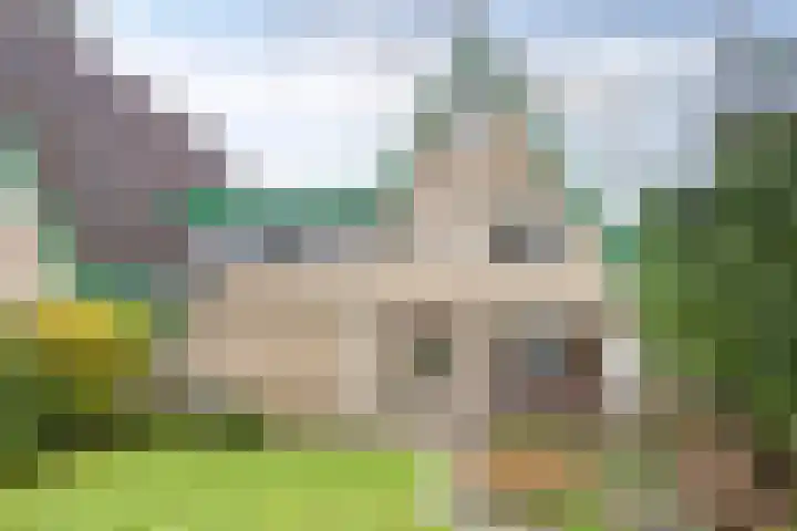 Andoorn 76 Oldenzaal thumbnail 39
