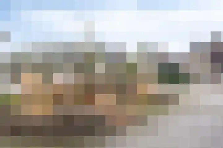 Andoorn 76 Oldenzaal thumbnail 40