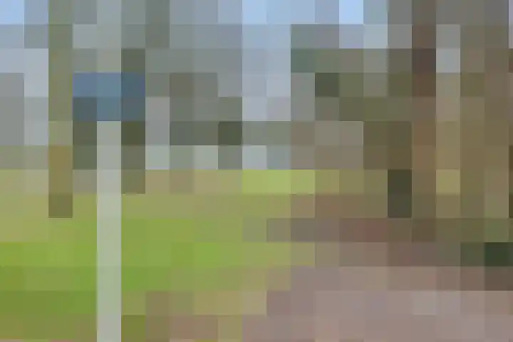 Andoorn 76 Oldenzaal thumbnail 41