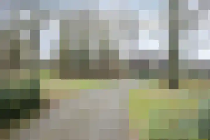 Andoorn 76 Oldenzaal thumbnail 42