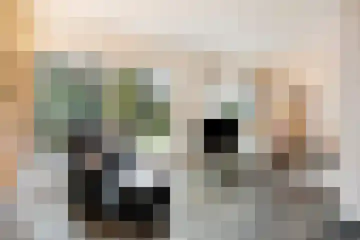 Andoorn 76 Oldenzaal thumbnail 6