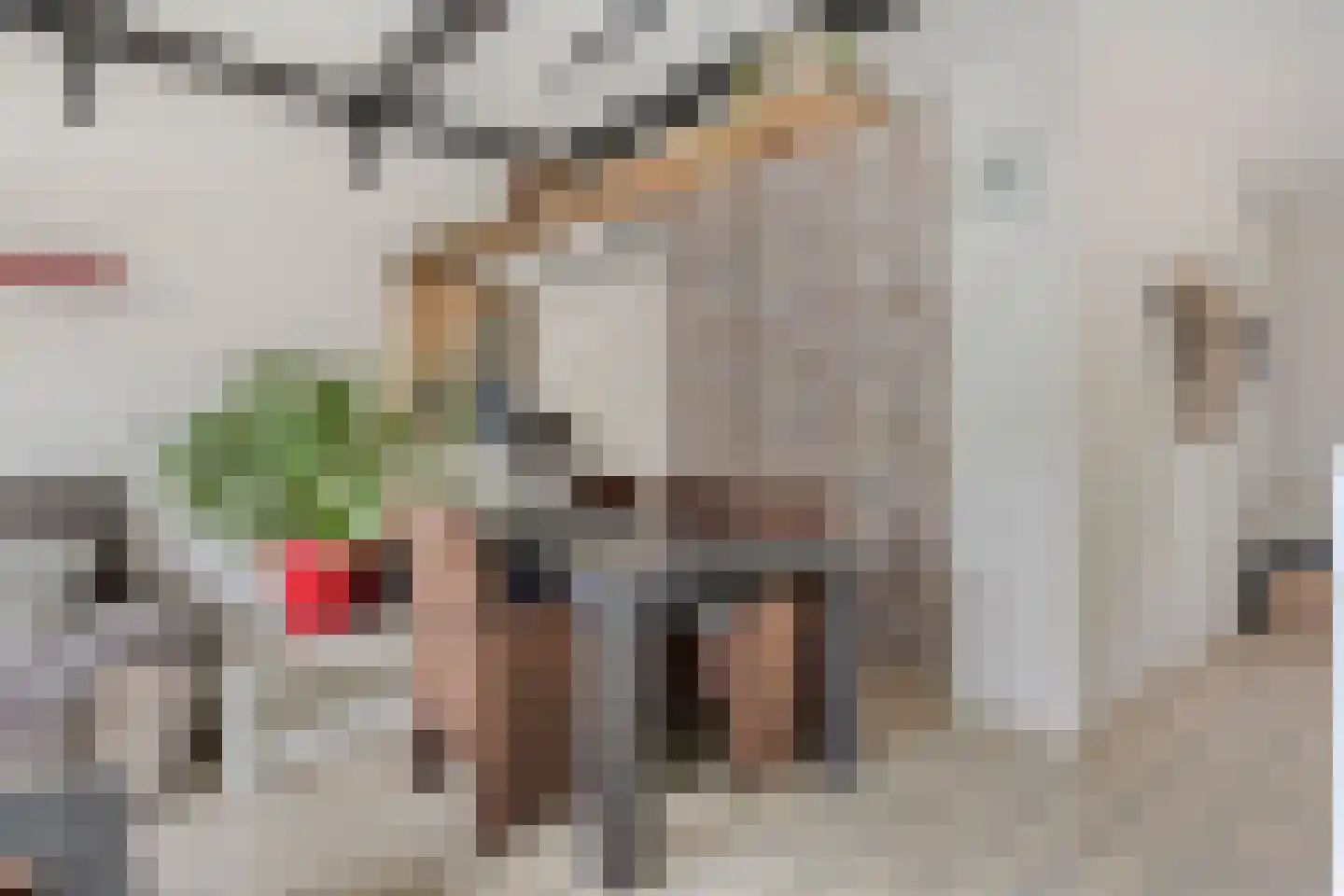 Andoorn 8 Rotterdam thumbnail 11