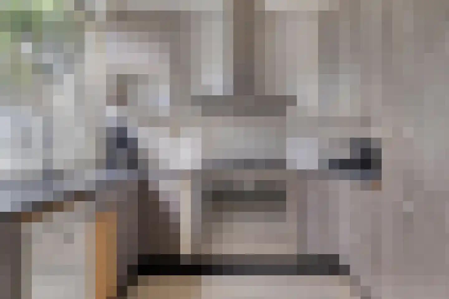 Andoorn 8 Rotterdam thumbnail 13