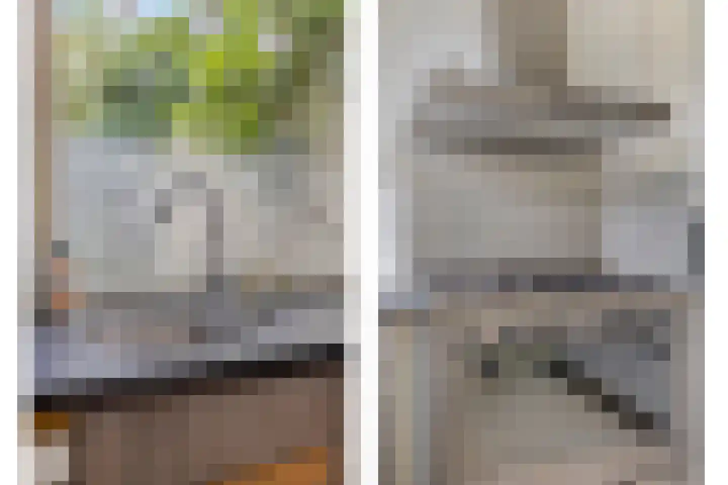 Andoorn 8 Rotterdam thumbnail 14