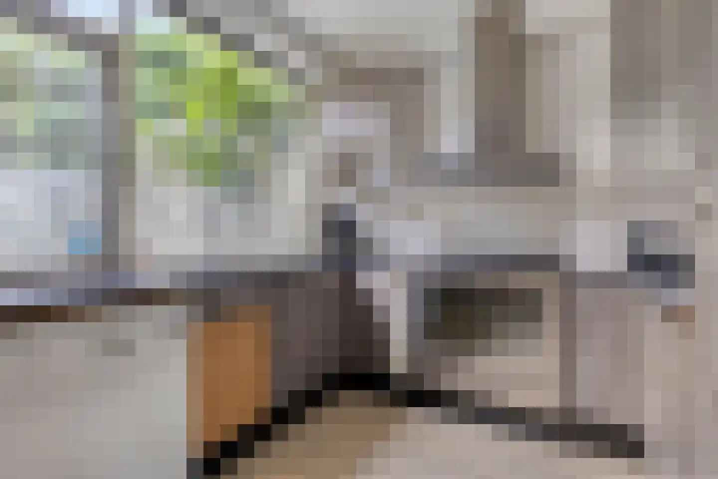 Andoorn 8 Rotterdam thumbnail 15