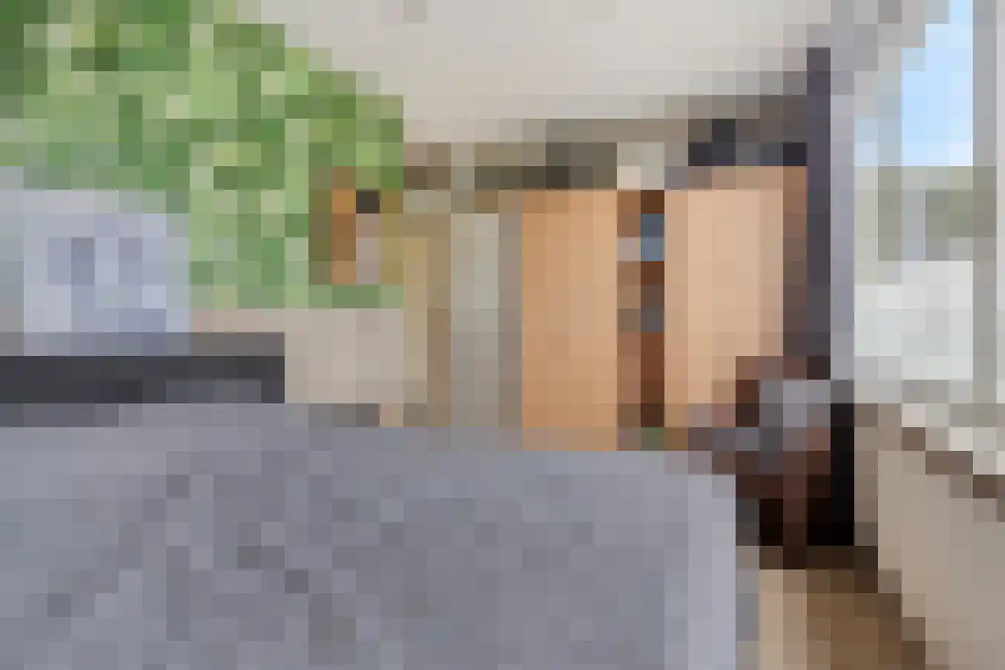 Andoorn 8 Rotterdam thumbnail 22