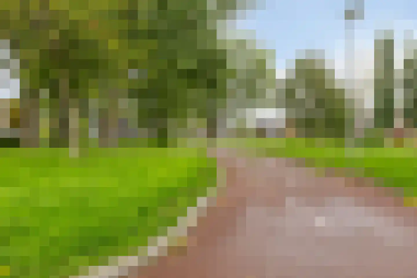 Andoorn 8 Rotterdam thumbnail 35