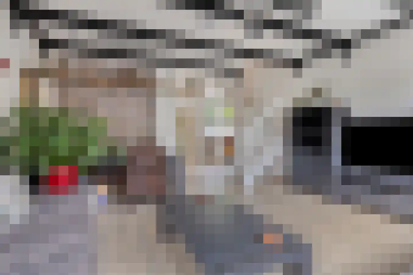 Andoorn 8 Rotterdam thumbnail 4