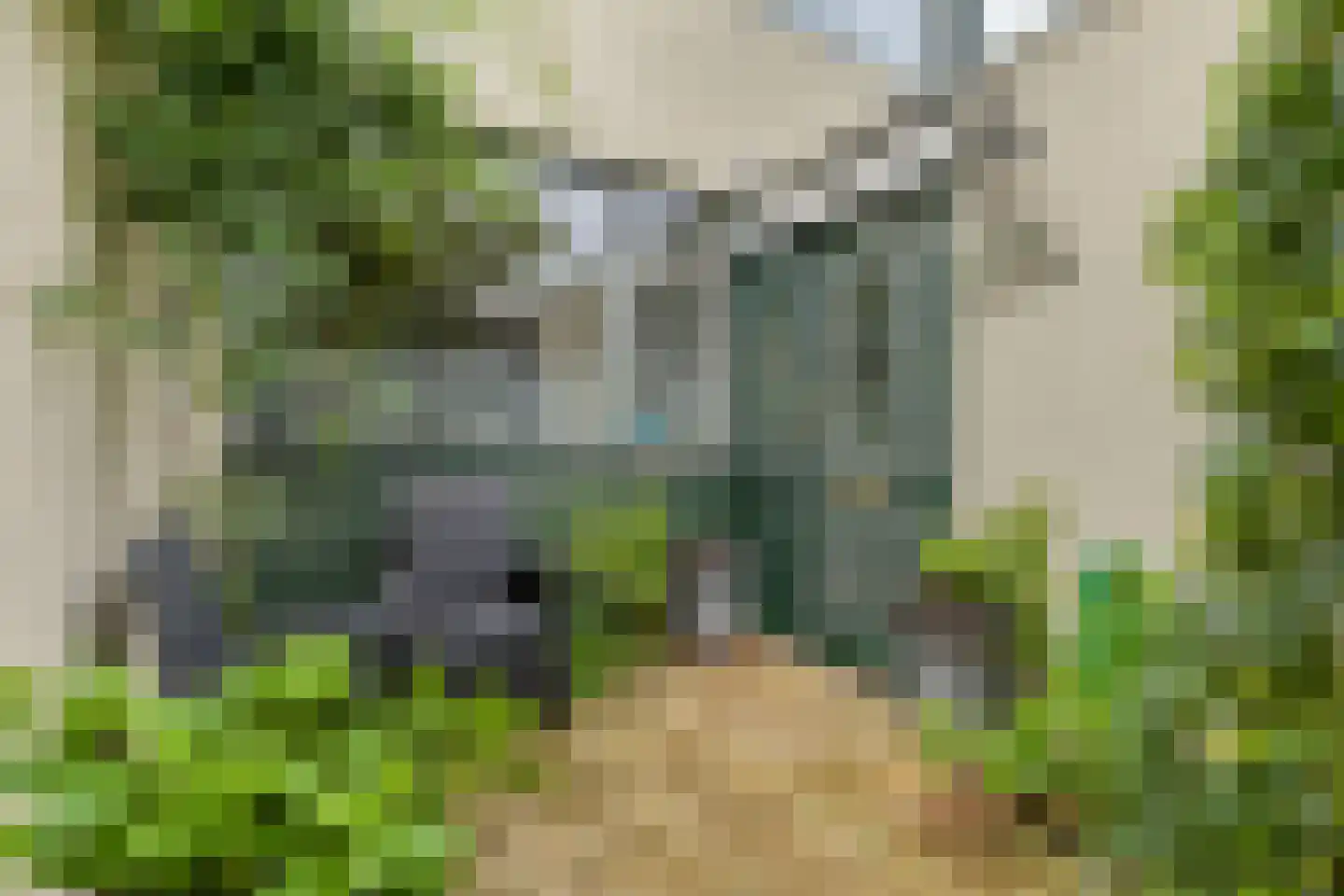 Andoorn 8 Rotterdam thumbnail 6