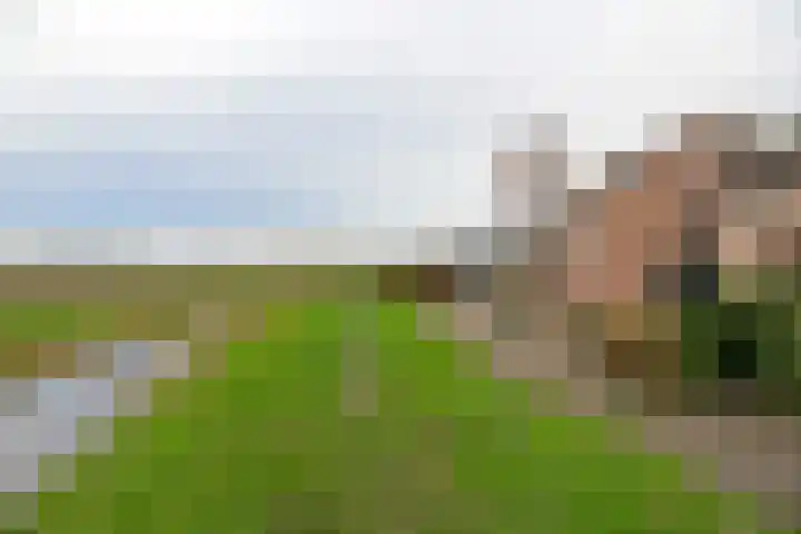 Andoornhof 56 Baarn thumbnail 22