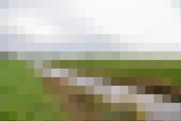 Andoornhof 56 Baarn thumbnail 25