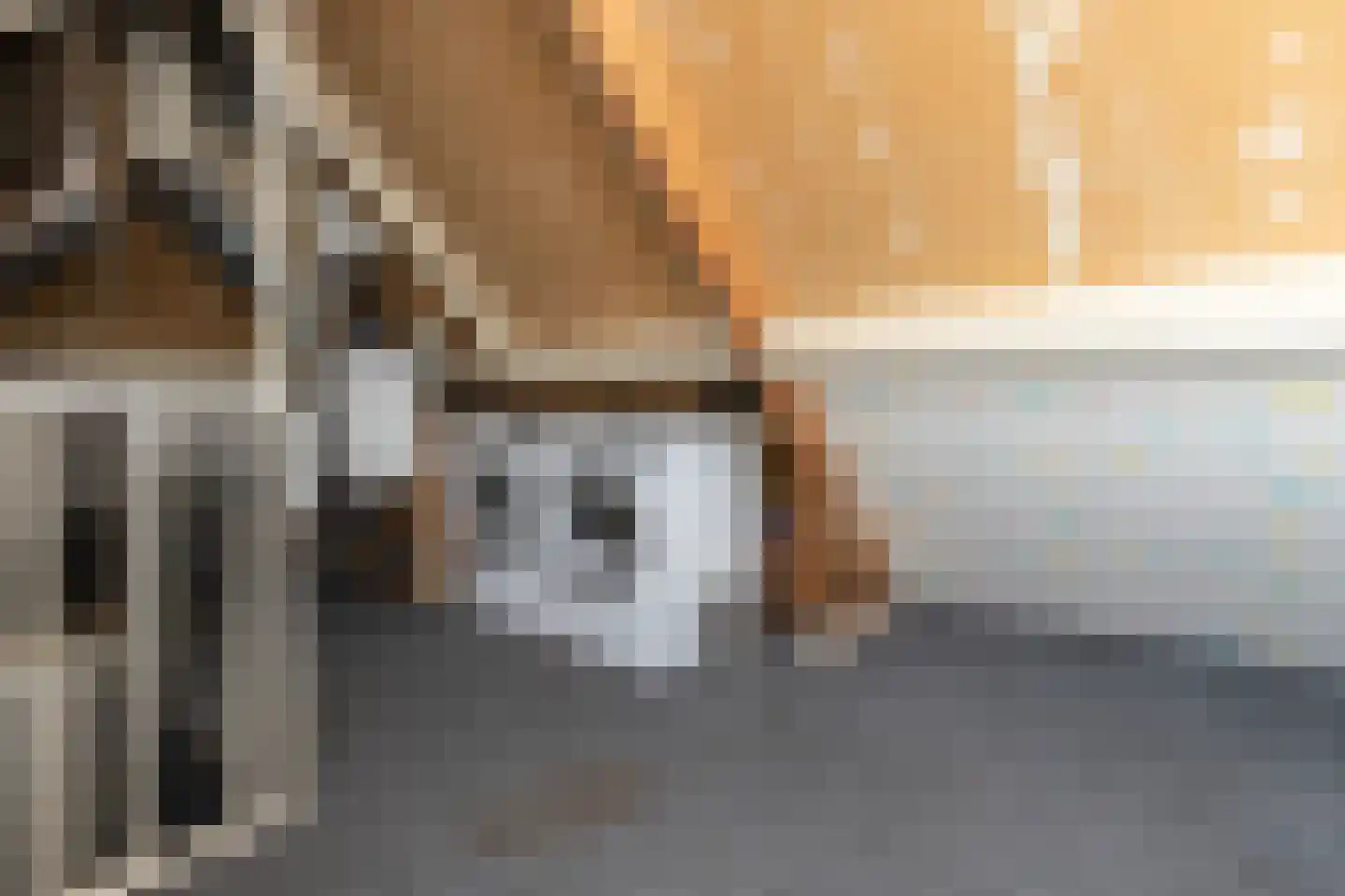 Andoornlaan 14 Papendrecht thumbnail 26