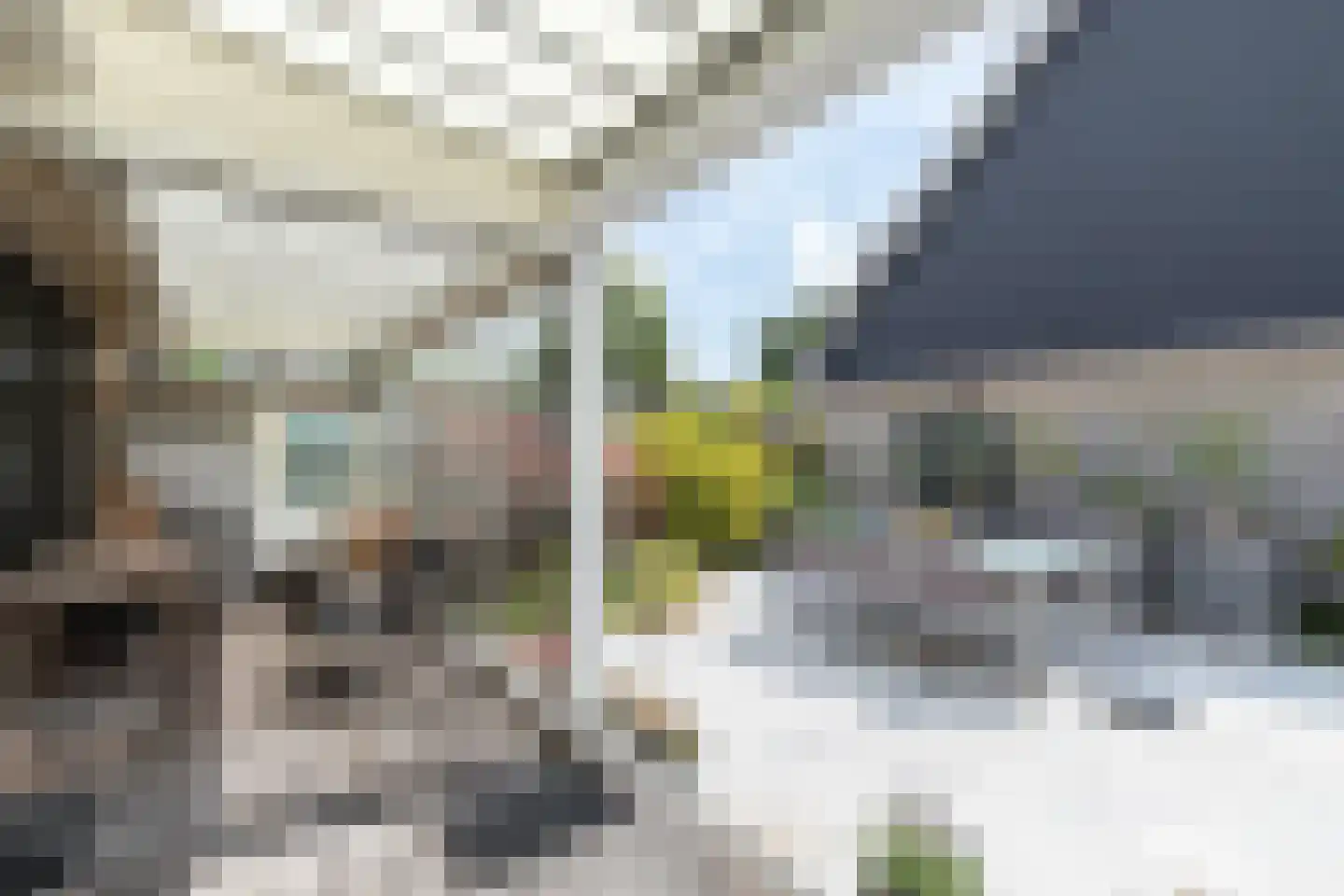 Andoornlaan 14 Papendrecht thumbnail 31