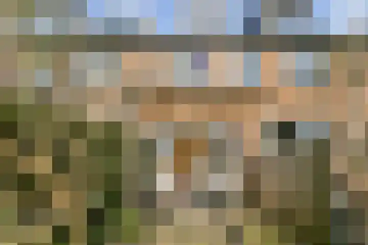 Andoornstraat 11 Alkmaar thumbnail 22