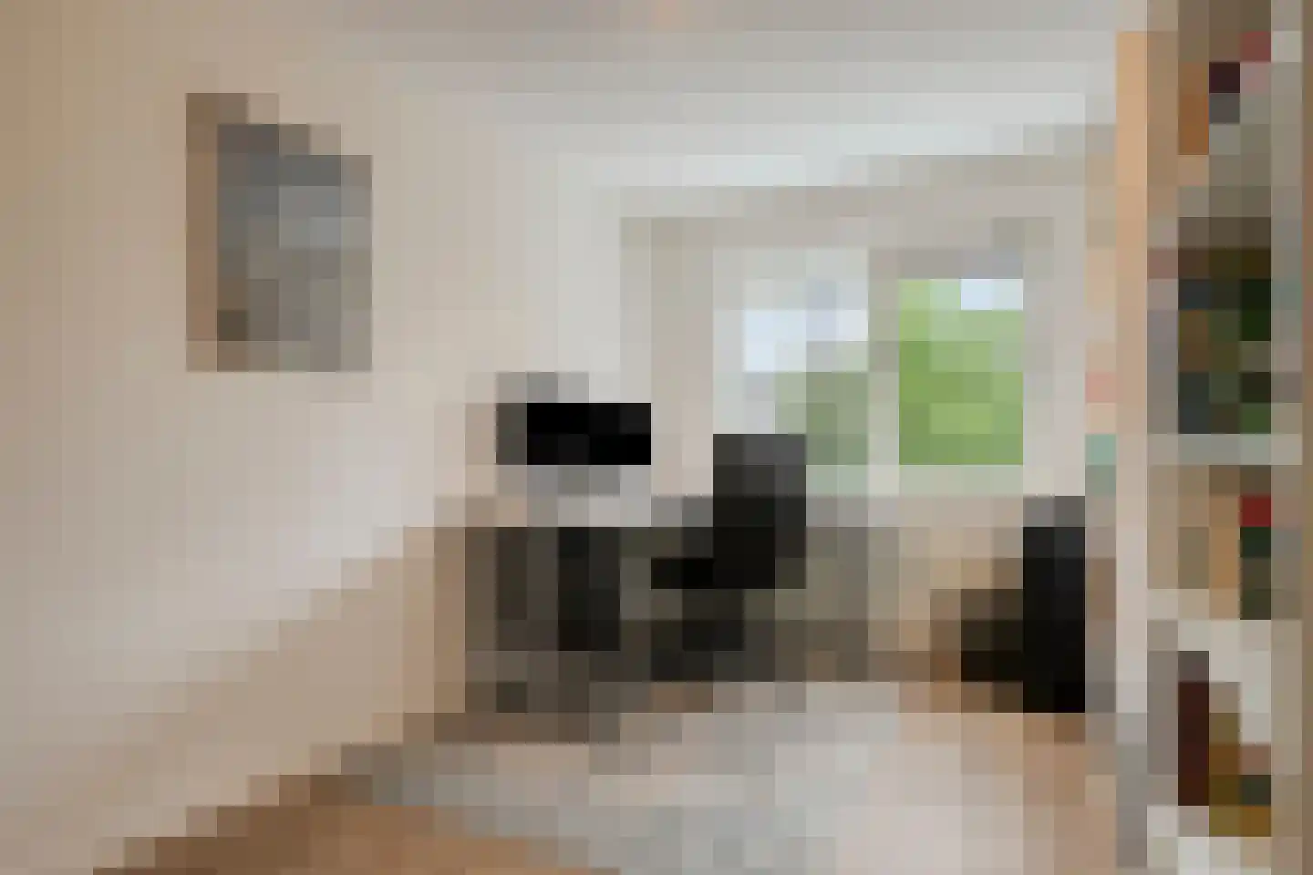 Andoornstraat 18 Nuenen thumbnail 30