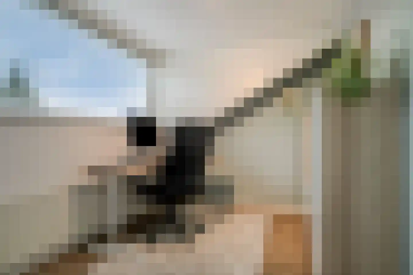 Andoornstraat 18 Nuenen thumbnail 32