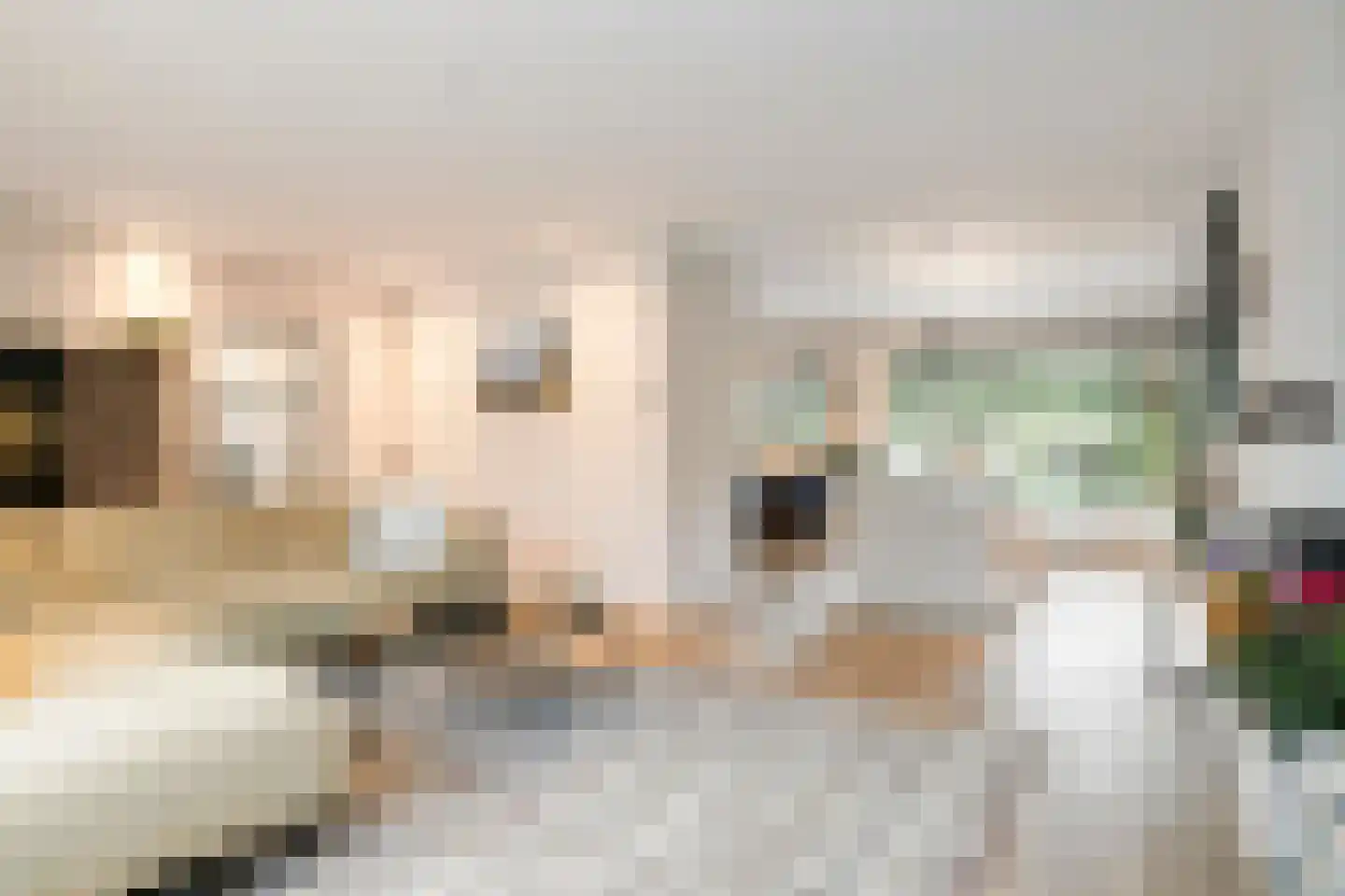 Andoornstraat 18 Nuenen thumbnail 8