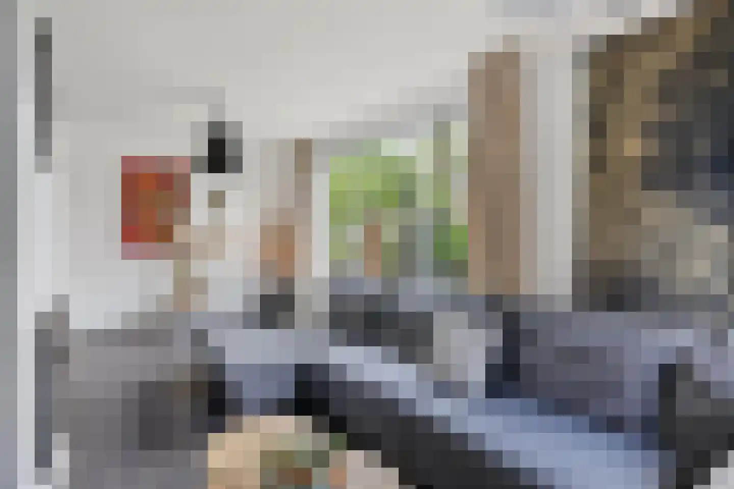 Andoornstraat 18 Schijndel thumbnail 5