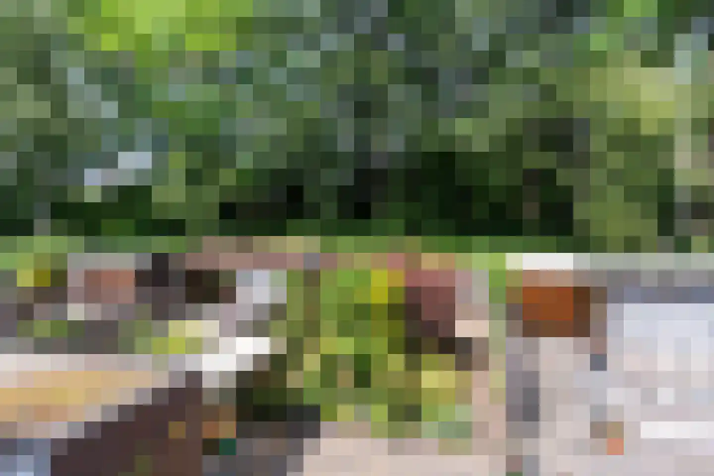 Andoornvaart 32 Zoetermeer thumbnail 20