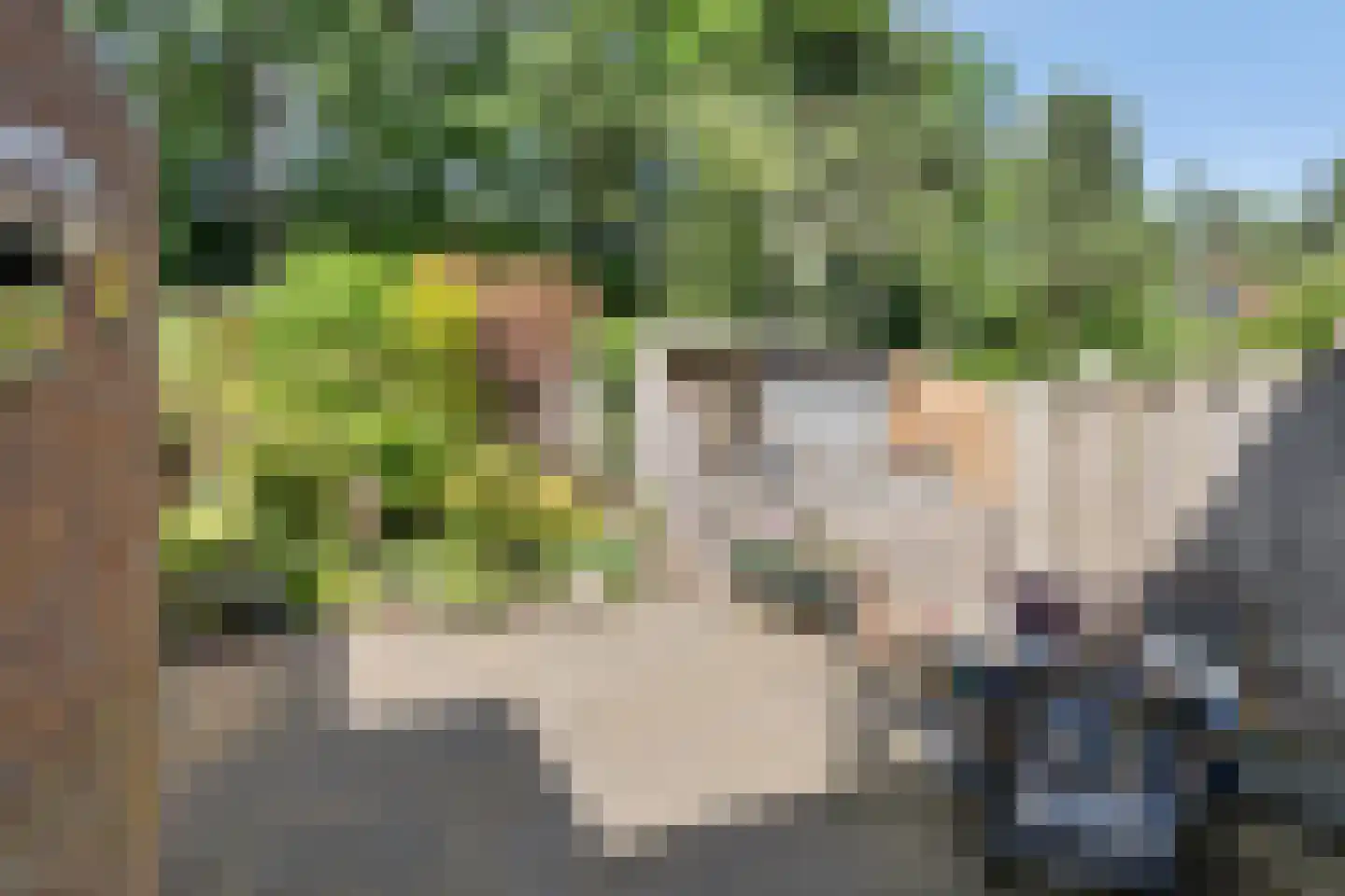 Andoornvaart 32 Zoetermeer thumbnail 22
