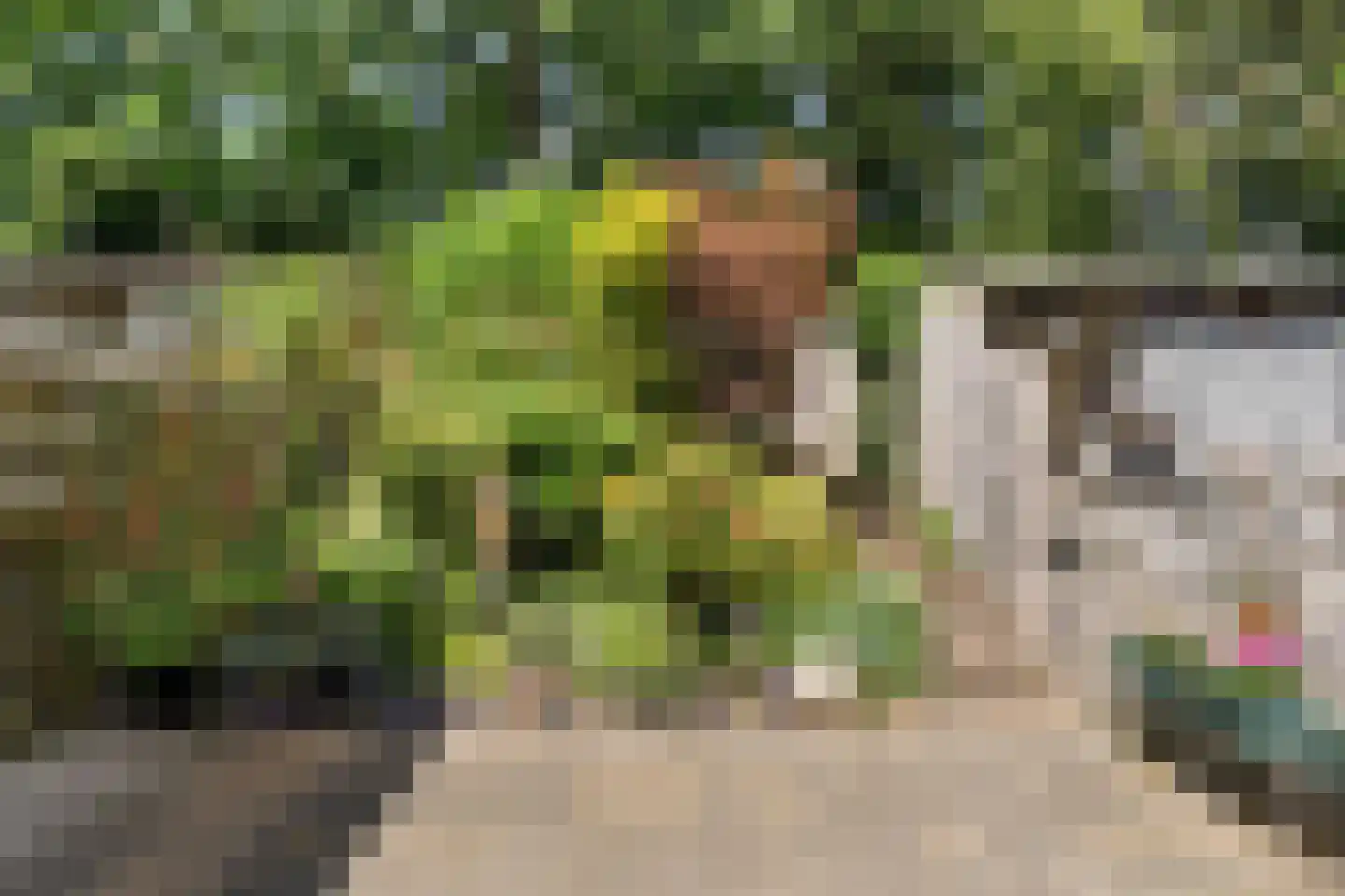 Andoornvaart 32 Zoetermeer thumbnail 23