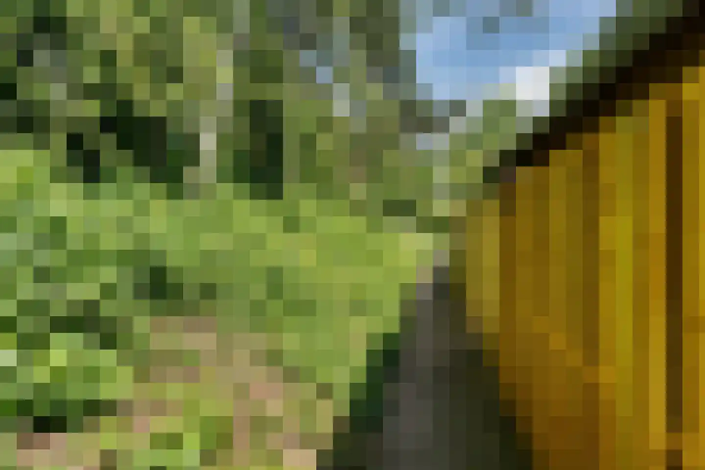 Andoornvaart 32 Zoetermeer thumbnail 29