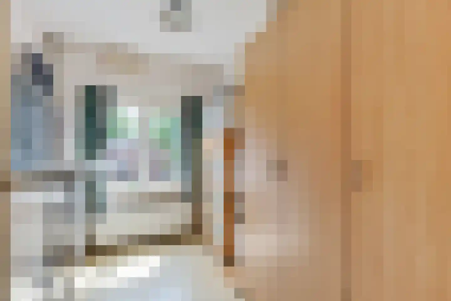 Andoornvaart 32 Zoetermeer thumbnail 36