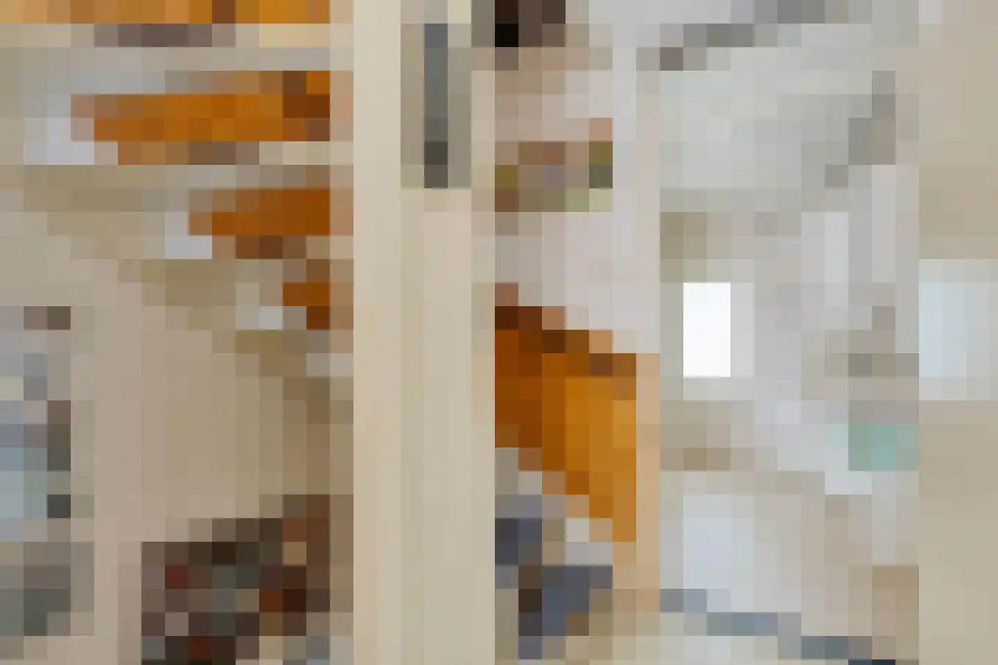 Andoornvaart 32 Zoetermeer thumbnail 39