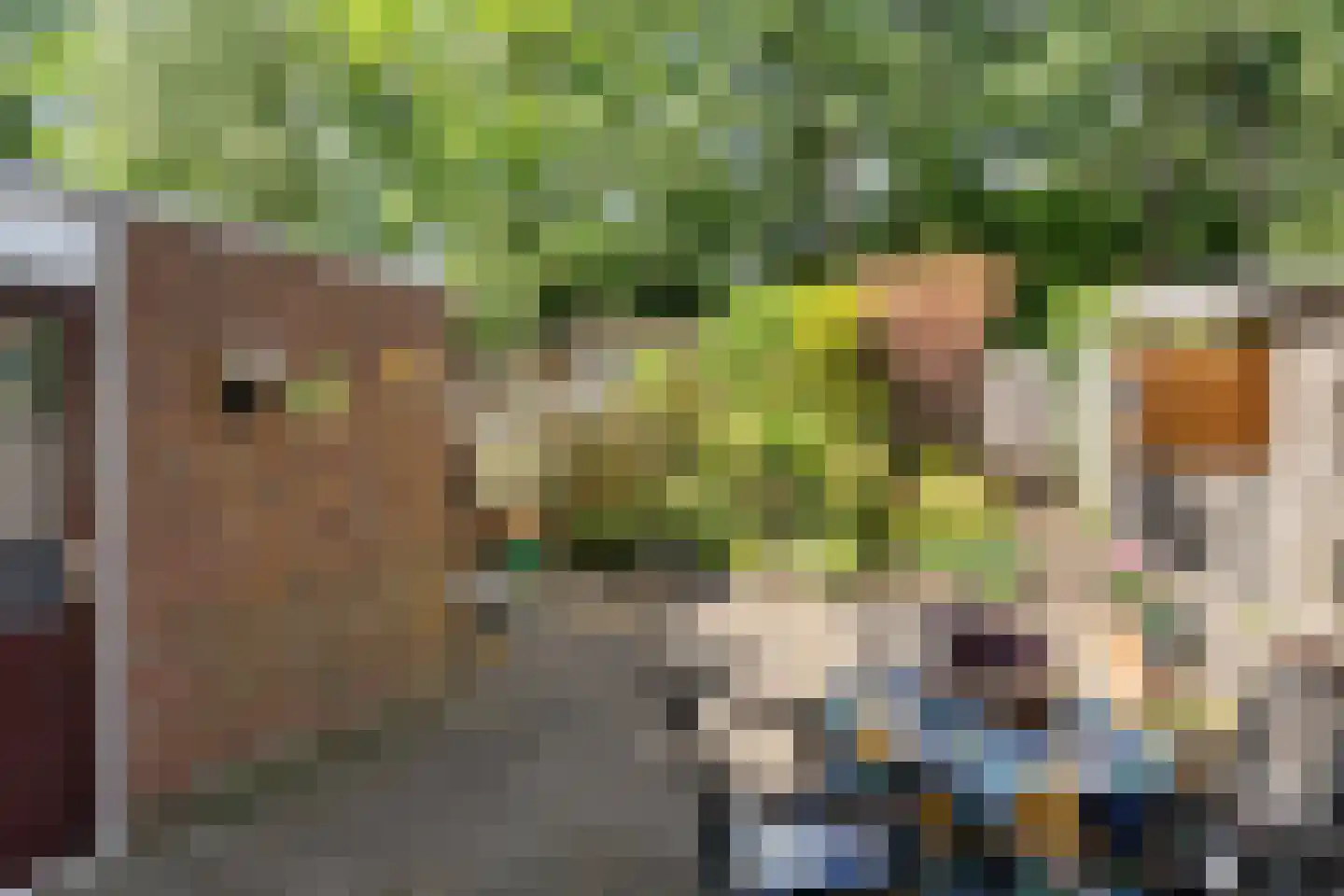 Andoornvaart 32 Zoetermeer thumbnail 4