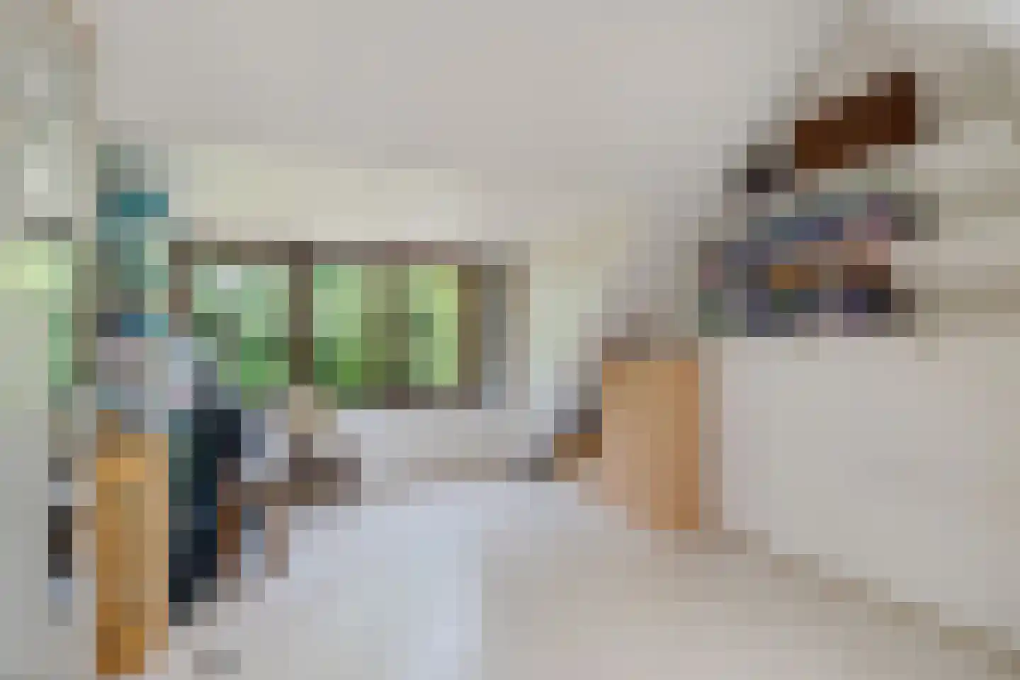 Andoornvaart 32 Zoetermeer thumbnail 43