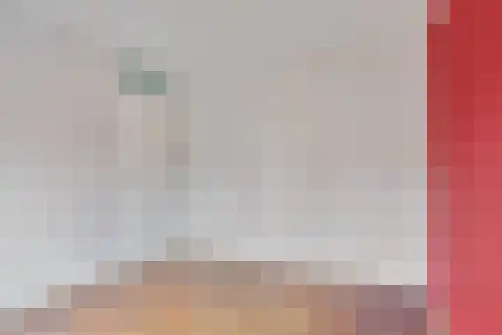 Andoornvaart 57 Zoetermeer thumbnail 31