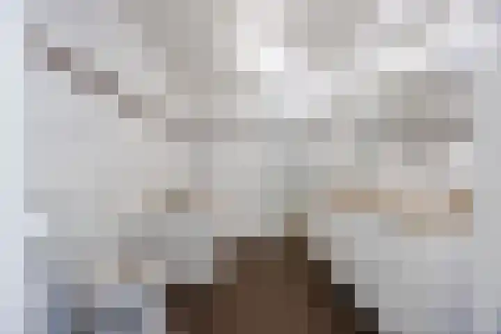 Andoornweg 19 Grave thumbnail 20