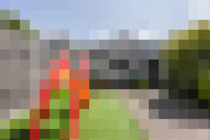 Andoornweg 19 Grave thumbnail 23
