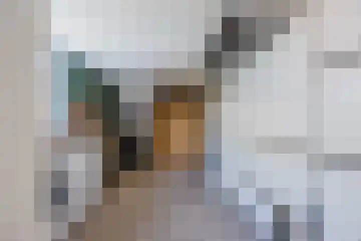 Andoornweg 19 Grave thumbnail 25