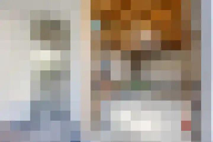 Andoornweg 19 Grave thumbnail 26