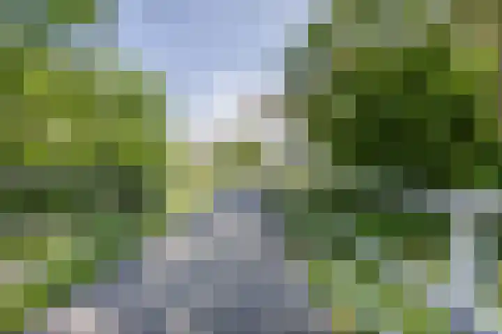 Andoornweg 19 Grave thumbnail 31