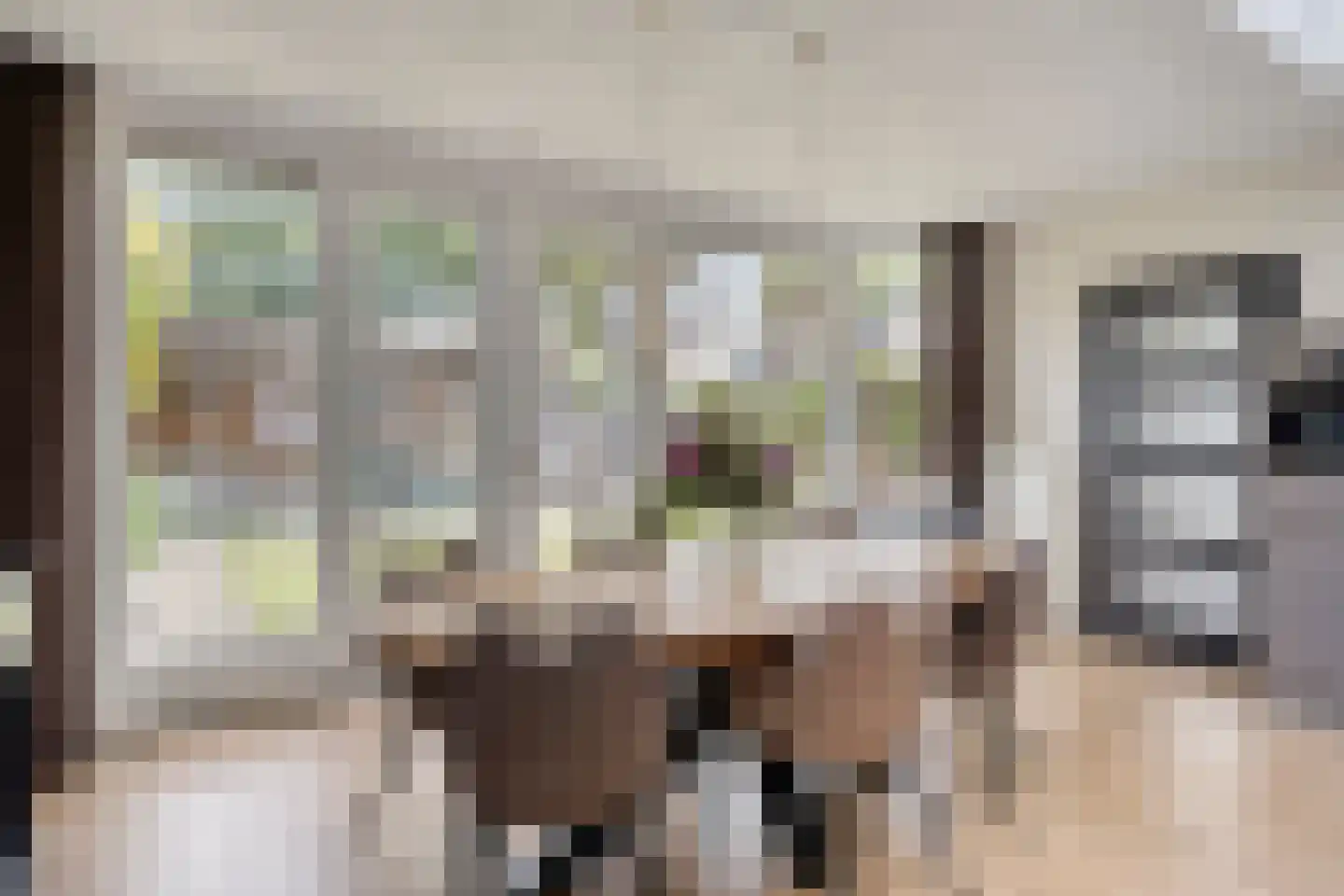 Andoornweg 2 Grave thumbnail 16