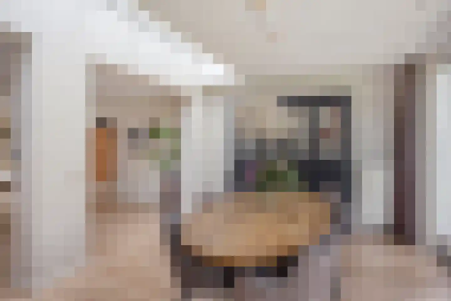 Andoornweg 2 Grave thumbnail 17