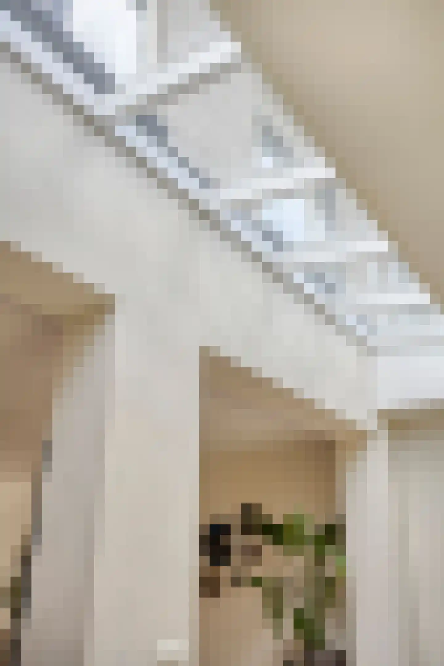 Andoornweg 2 Grave thumbnail 19