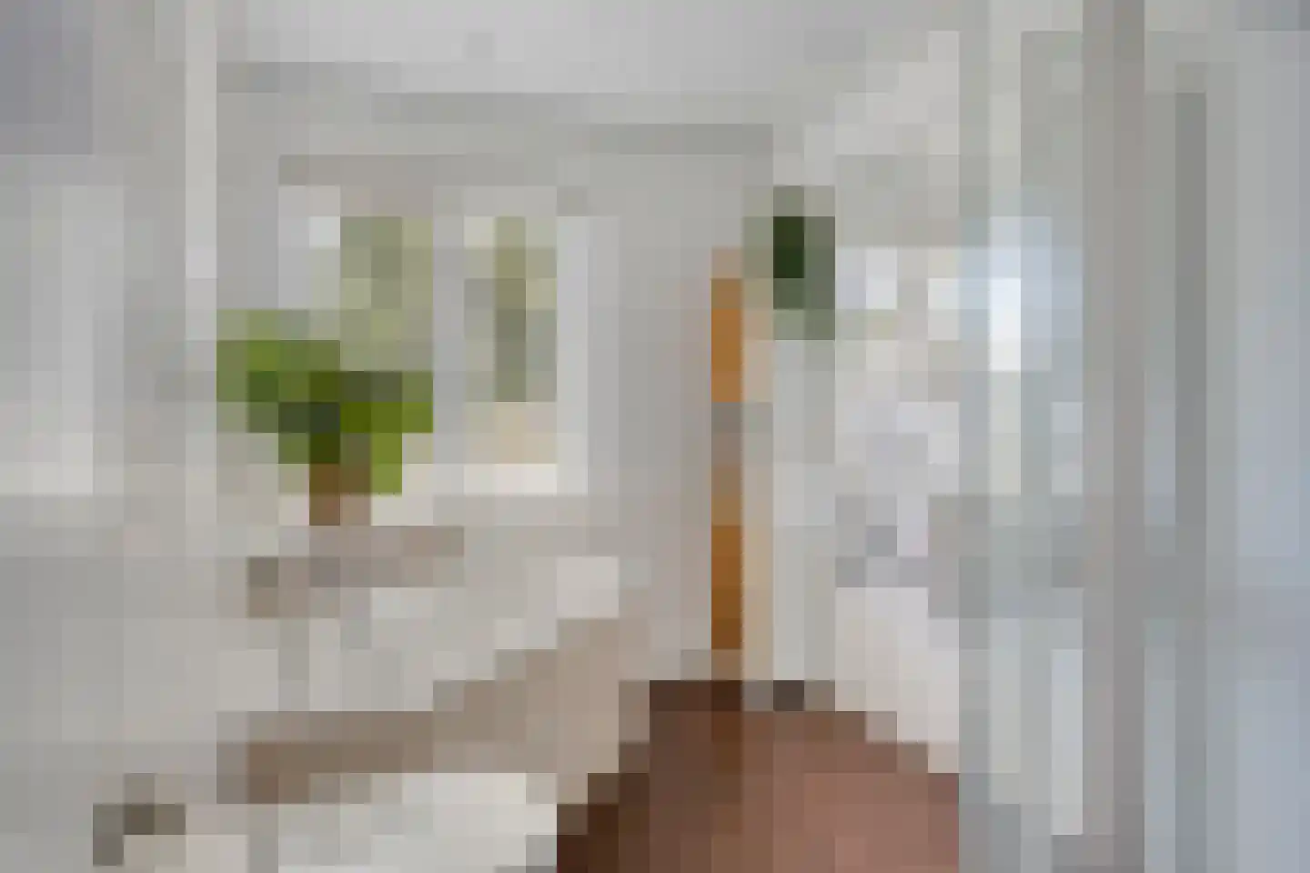 Andoornweg 2 Grave thumbnail 29