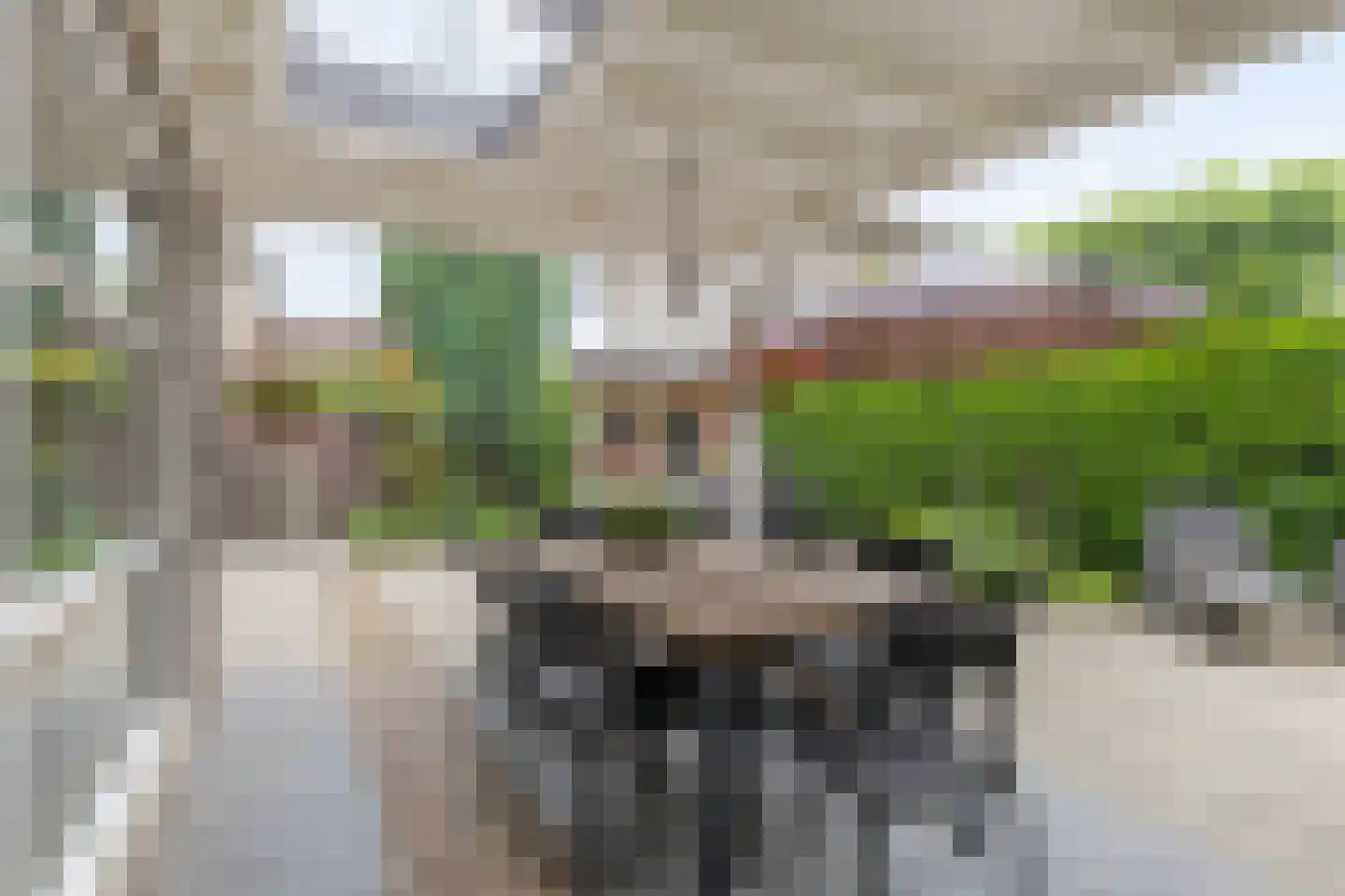 Andoornweg 33 Grave thumbnail 33
