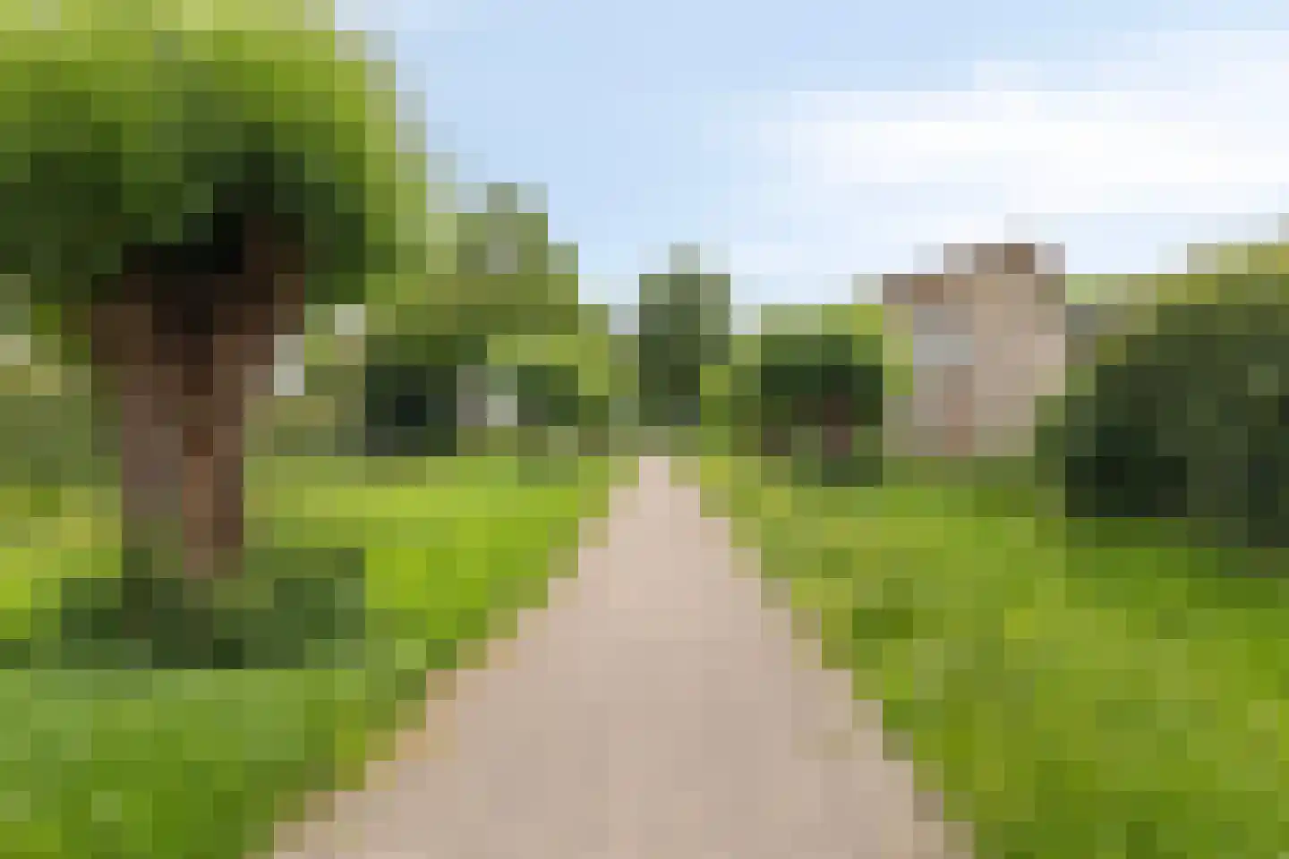 Andoornweg 33 Grave thumbnail 39